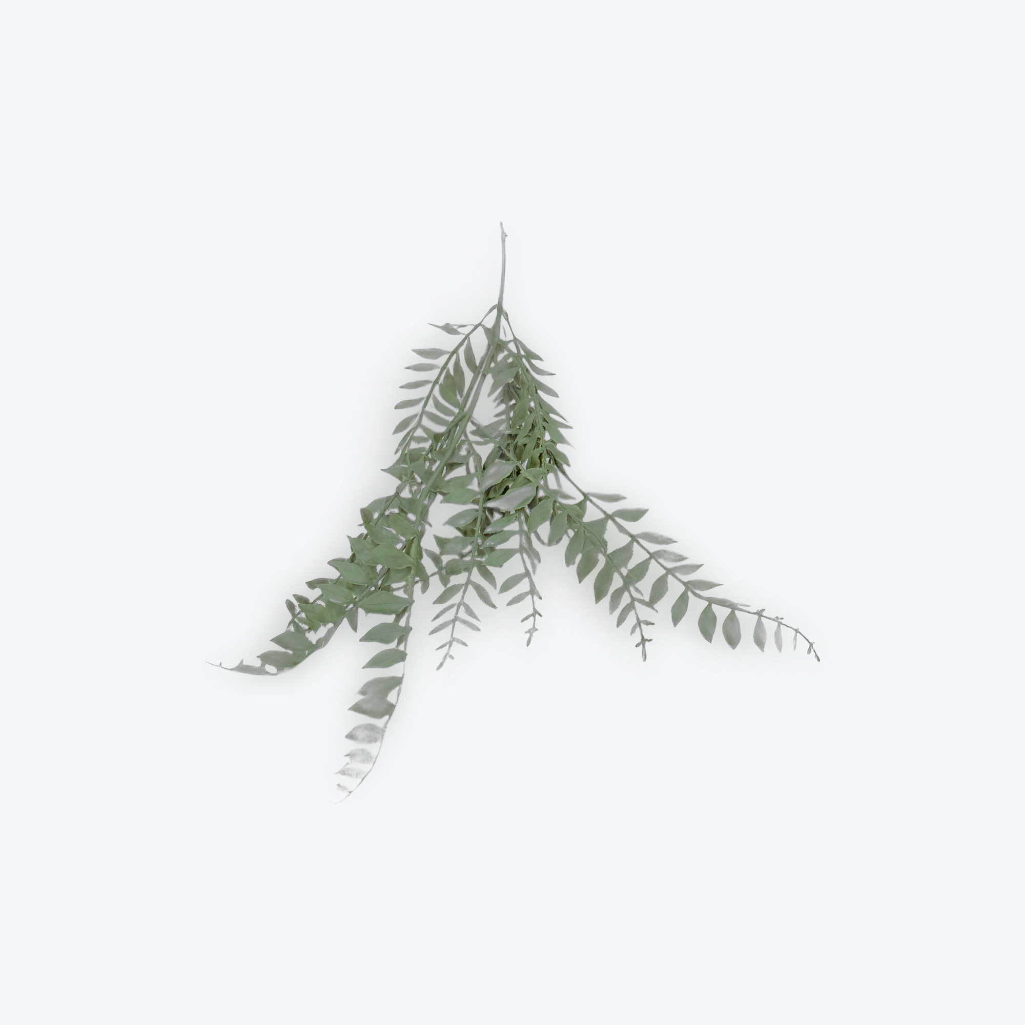 Maidenhair Fern 82cm Artificial Greenery