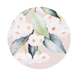 Native Blooms Gumnuts Ceramic Coaster