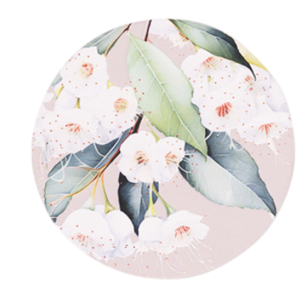 Native Blooms Gumnuts Ceramic Coaster