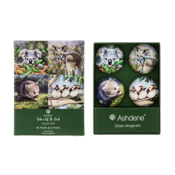Australia Native Animal Glass Magnet Koala Kangaroo Wombat Joey Kookaburra