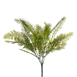 Cycad Palm Bush 30cm