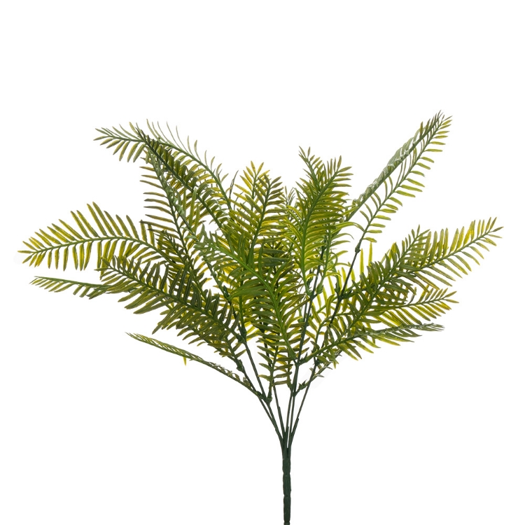 Cycad Palm Bush 30cm