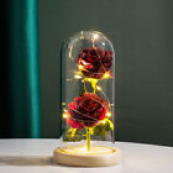 Rose in Glass Forever
