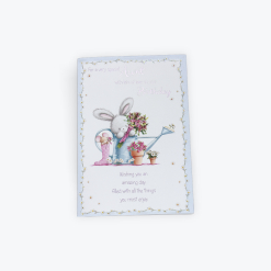 For A Special Aunt Birthday Card
