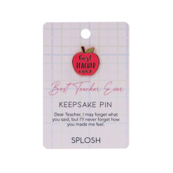 Teacher Best Teacher Keepsake Pin