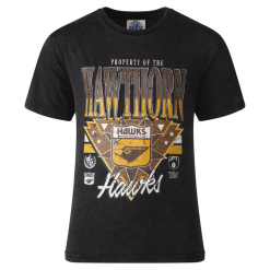AFL Youth '90s Graphic Tee Hawthorn