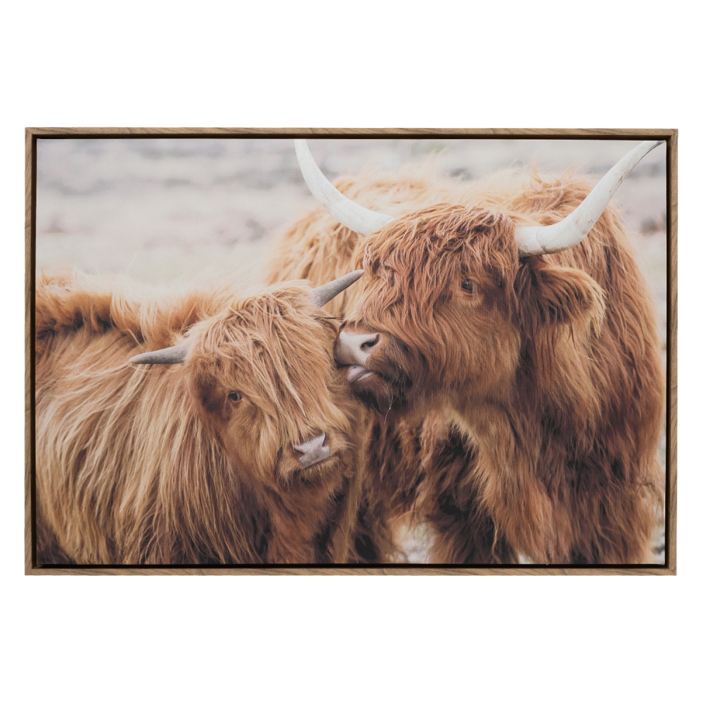 Home Sweet Home Highland Cows