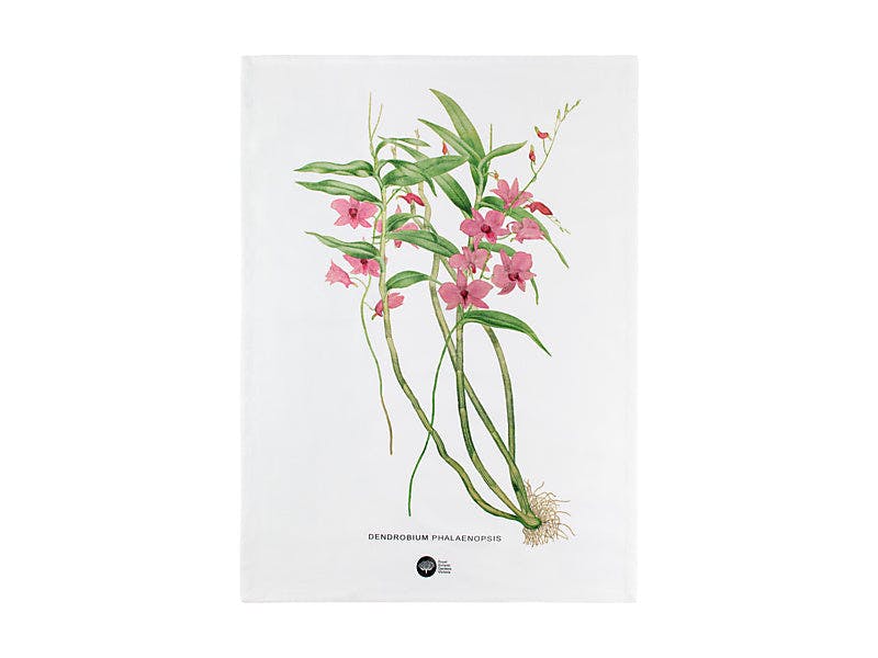 Royal Botanic Gardens Australian Orchids Tea Towel