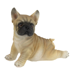 Bulldog Lying Down with Sprawled Legs