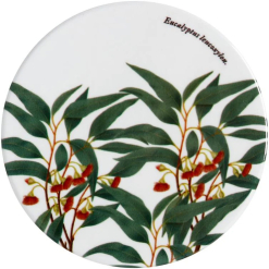 Botanics Coaster Flowering Gum