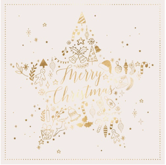 Card 10pk Salvo Gold Star