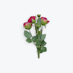 Siena Rose 5 BudS Real Touch Red (60cmH) (1)