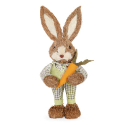 Master Moss With Carrot