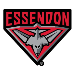 AFL LOGO Car School Books Sticker Decal