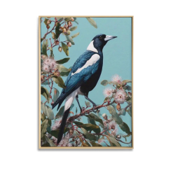 Magpie with Blue Background