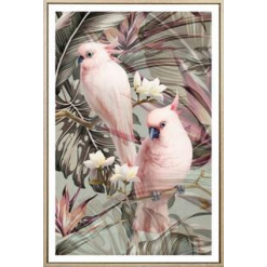 Pink Galah Framed Canvas