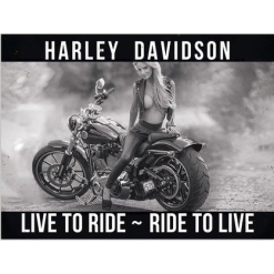 Harley 2 Tin Sign