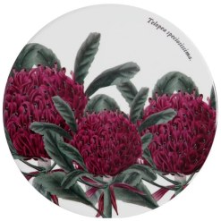 Botanics Coaster Telopea