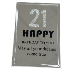 Happy 21st Birthday Plaque