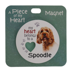 Spoodle magnet