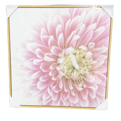 Bloom Art Canvas 50cm x 50cm