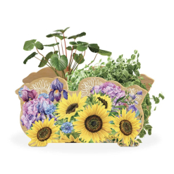 Chrysanthemum Planter Box