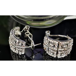 Evening Earrings Silver