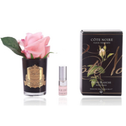 Touch Rose Bud - Black - Peach