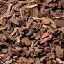 Pine Bark 2"
