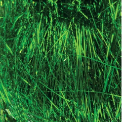 Shredded Tinsel Green