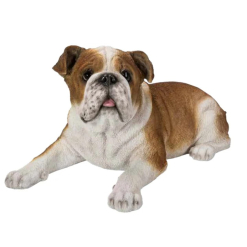 Bulldog Laying Down Statue Resin