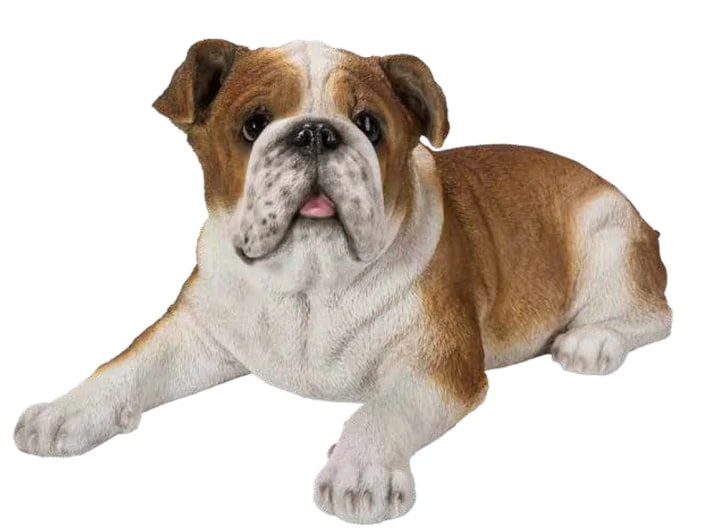 Bulldog Laying Down Statue Resin