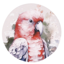 Native Blooms Galah Ceramic Coaster