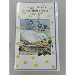 Birth of Twins Card
