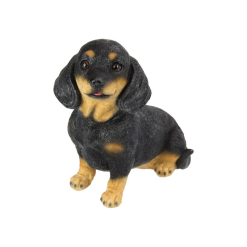 Sitting Sausage Dog