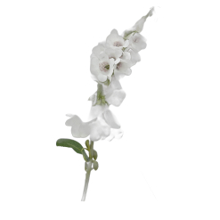Fox Glove Stems 82cm