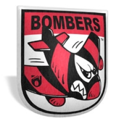 Essendon Retro Cushion