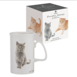 Purrrfect Moments British Short Hair