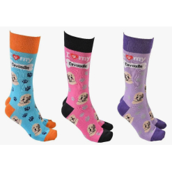 Sock Society Cavoodle