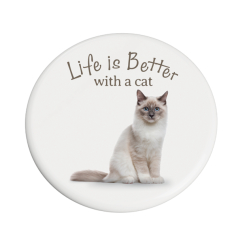 Ragdoll Cat - Beautiful on the Inside Coaster