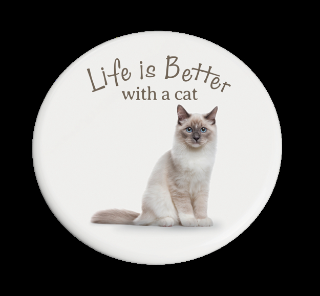 Ragdoll Cat - Beautiful on the Inside Coaster
