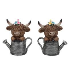 Highland Cow on Watering Pot