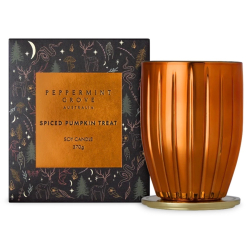 Spiced Pumpkin Treat Soy Candle 370g