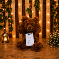 Charlie Bears Isabelle Collection - Didymus