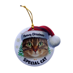 TSK Christmas Sentiment Plaque - Tabby Cat