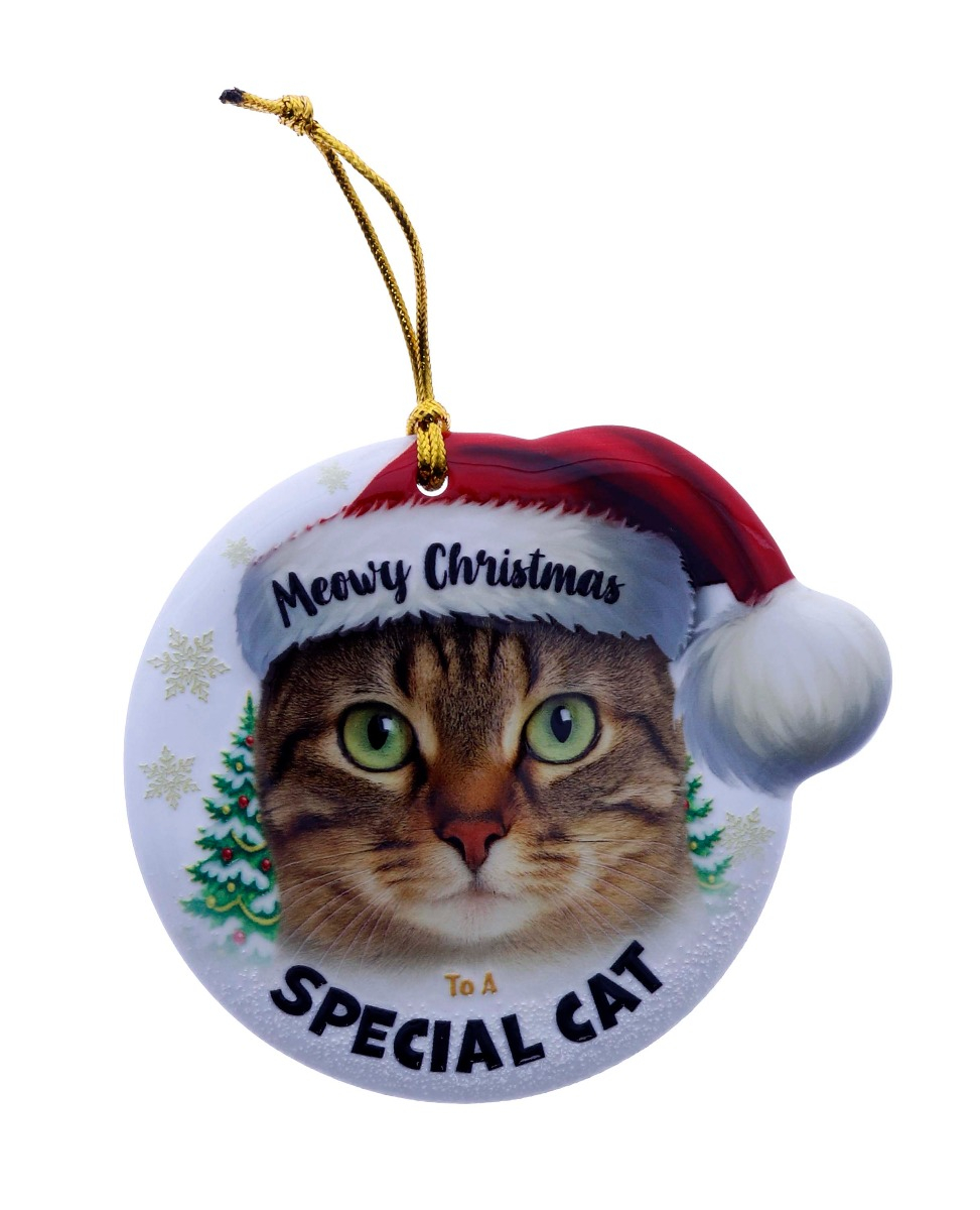 TSK Christmas Sentiment Plaque - Tabby Cat