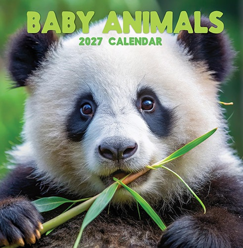 Calendar Square - Baby Animal