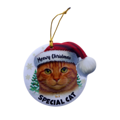 TSK Christmas Sentiment Plaque - Ginger Cat