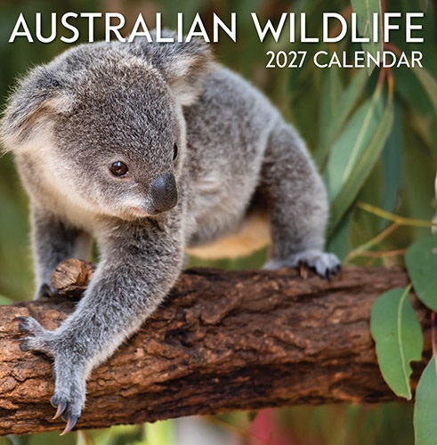 Calendar Square - Australian Animals