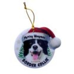 TSK Christmas Sentiment Plaque - Border Collie